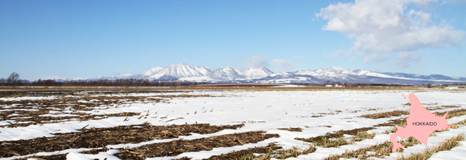 冬の北海道の山々と雪が被った大豆畑